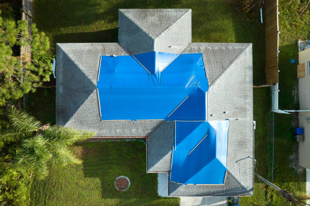 Best Steel Roofing  in Ruthers, CA